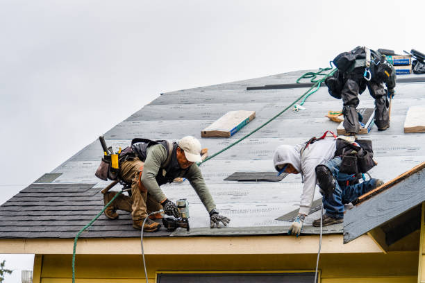 Professional Storm Damage Roof Repair technician working in Hallandale, FL